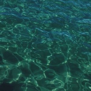 Meet your Posher, Tyra